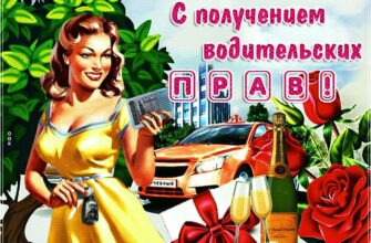 Анимированные картинки и открытки с получением прав