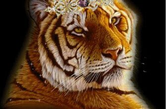 Гифки с тиграми на Аватарку