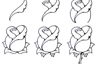 Лёгкие рисунки для срисовки для начинающих