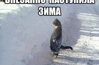 Прикольные картинки про мороз