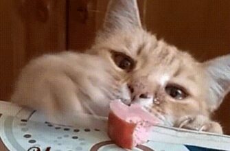 Доброе утро анимации с надписями картинки красивые