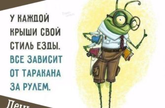 С днём съехавшей крыши – картинки с надписями на 24 февраля 2022