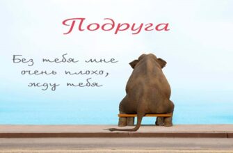 Прикольные картинки про подругу с надписью (140 фото)