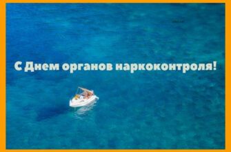 Картинки День работника органов наркоконтроля (30 фото)