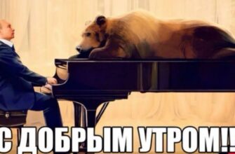 Картинки с пожеланием доброго утра от Путина (10 фото)