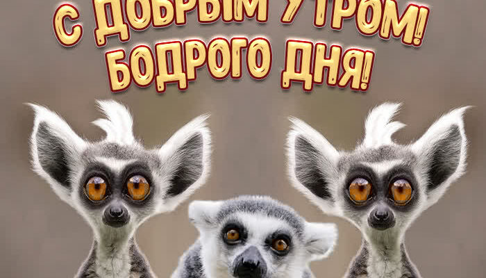 C добрым утром картинки красивые необычные (50 фото)