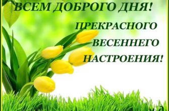 Картинки с пожеланием доброго весеннего утра и хорошего дня (135 фото)