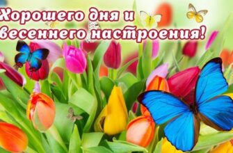 Пожелания весеннего доброго утра и удачного дня (50 фото)