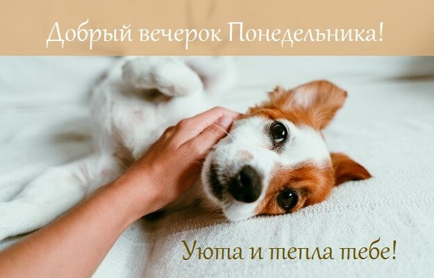 Картинки добрый вечер понедельника (35 фото)
