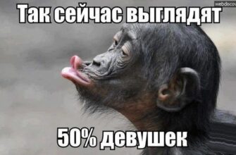 Прикольные фото девушек с надписями (112 фото)