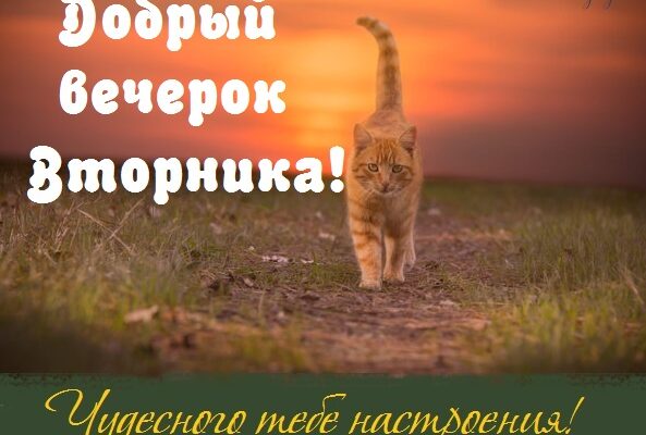 Картинки добрый вечер вторника 20 фото)