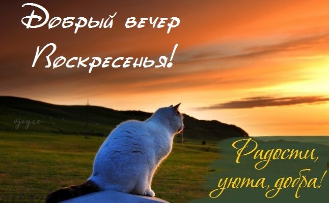Картинки доброго воскресного вечера (35 фото)
