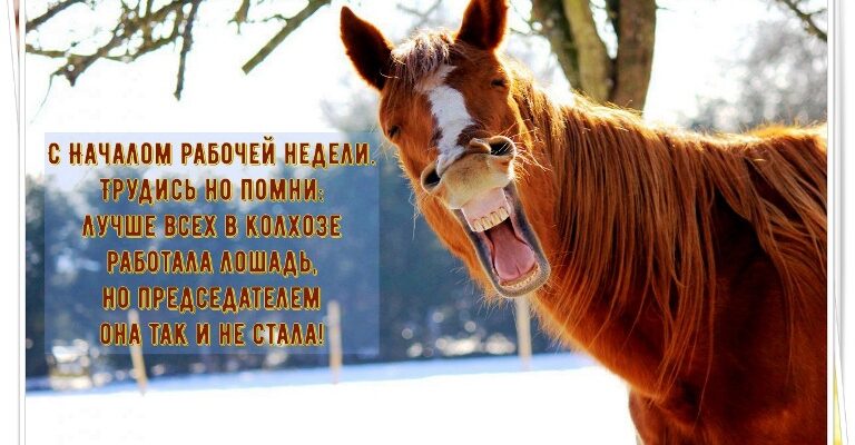 Картинки с добрым утром началом недели рабочей недели (30 фото)