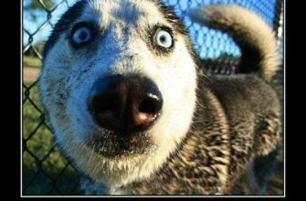 Демотиваторы добра (123 фото)