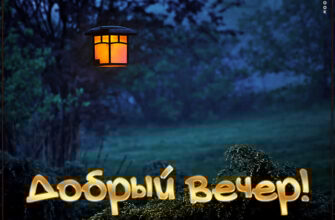 Красивые картинки с добрым летним вечером (30 фото)