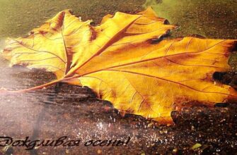 Дождливые осенние гифки (20 gif картинок)