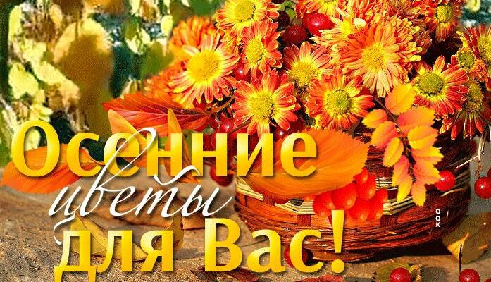 Гифки осенние цветы (20 gif картинок)