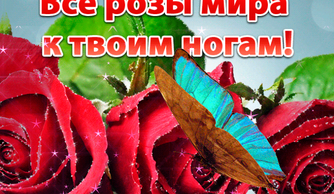 Гифки Цветы для Любимой Девушки