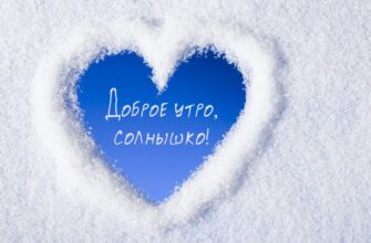 Смешные картинки с добрым зимним утром (30 фото)