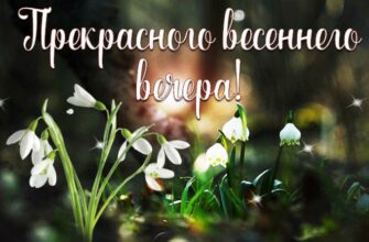 Гифки Хорошего, доброго Весеннего вечера (40 gif картинок)