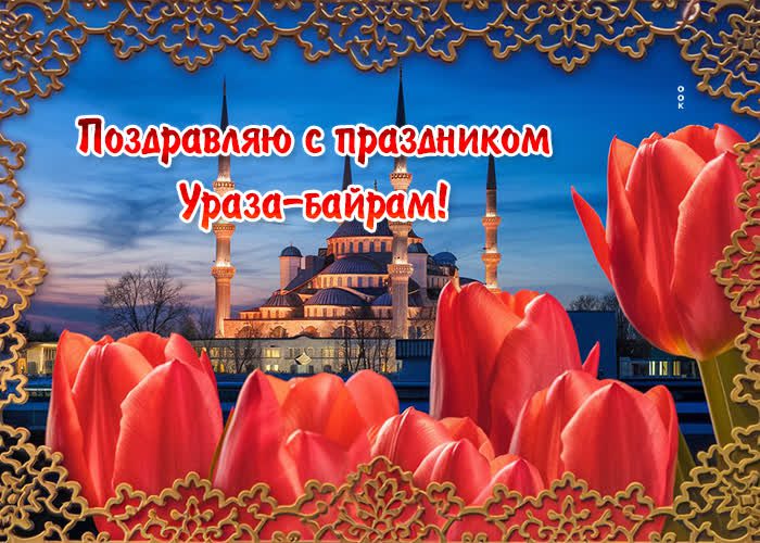 Фото красных тюльпанов на фоне мечети в праздник Ураза-Байрам.