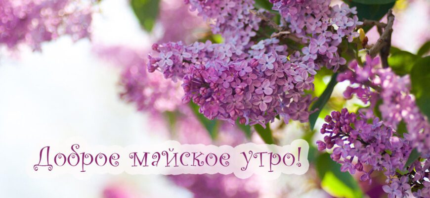 Красивые картинки с добрым Майским утром 2023 (50 фото)