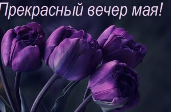 Картинки доброго Майского Вечера 2023 (40 фото)