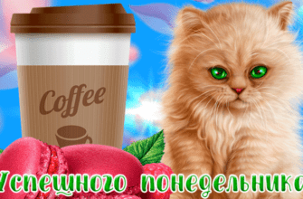 Гифки доброго Летнего понедельника