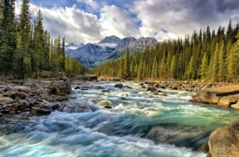 Картинки на рабочий стол природа (100 фото)