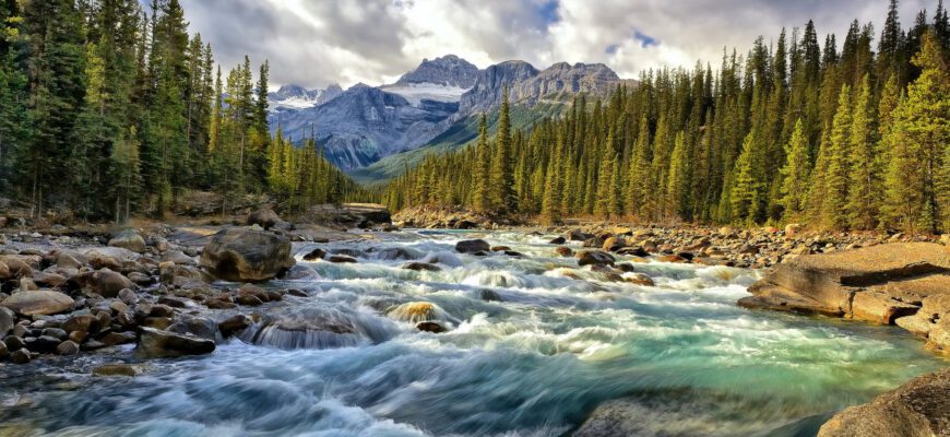 Картинки на рабочий стол природа (100 фото)