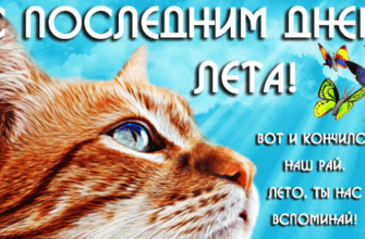 Гифки с последним днём Лета 31 Августа 2023 (50 gif картинок)