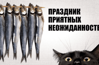 Яркие картинки на праздник приятных неожиданностей 26 Октября 2023 (30 фото)