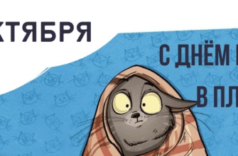 Смешные картинки с днём кутания в пледы 26 Октября 2023 (30 фото)