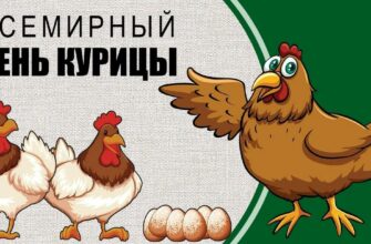 Прикольные картинки на Всемирный день Курицы 9 Ноября 2023