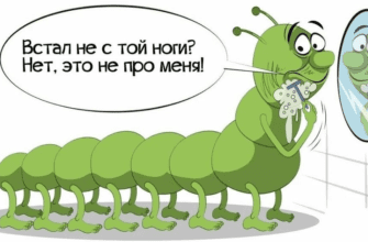 Картинки на день вставания с той ноги 23 Ноября 2023