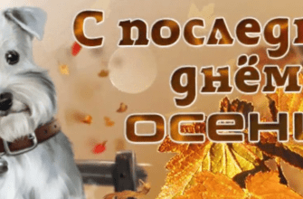 Картинки с Последним днём Осени 30 Ноября (50 фото)