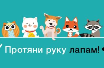 Картинки с днём Пожимания Лап 21 Декабря 2023