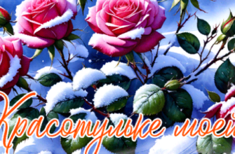 Гифки с зимним букетом цветов (30 красивых gif картинок)