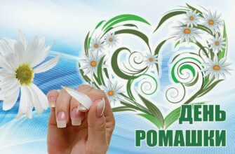 Картинки с Всемирным днём Ромашки 28 Января 2024 (15 фото)