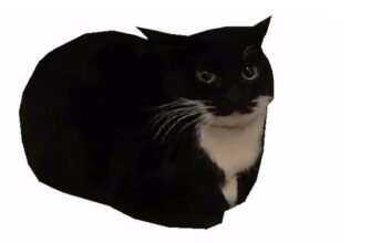 Гифки 3D-кот Максвелл (10 картинок Maxwell Cat gif)