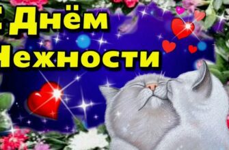 Гифки с Международным днём Нежности (42 gif картинки)
