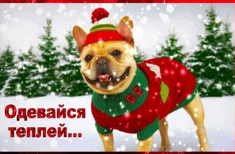 Гифки одевайся теплее (20 gif картинок)