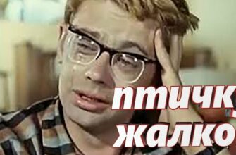 Гифка Шурик Кавказская пленница "Птичку жалко"