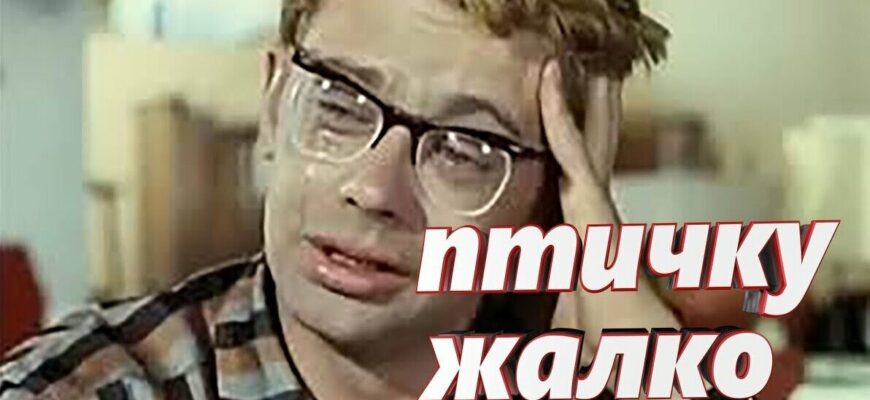 Гифка Шурик Кавказская пленница "Птичку жалко"