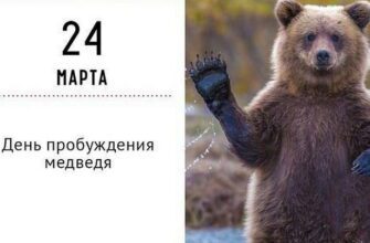 Картинки с днём пробуждения Медведя (25 gif открыток)