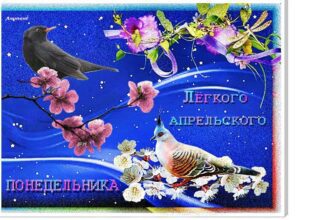 Гифка лёгкого апрельского Понедельника