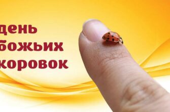 Картинки с днём Божьей Коровки 13 Июня