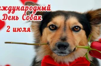 Картинки и гифки с Всемирным днём Собак 2 Июля 2024