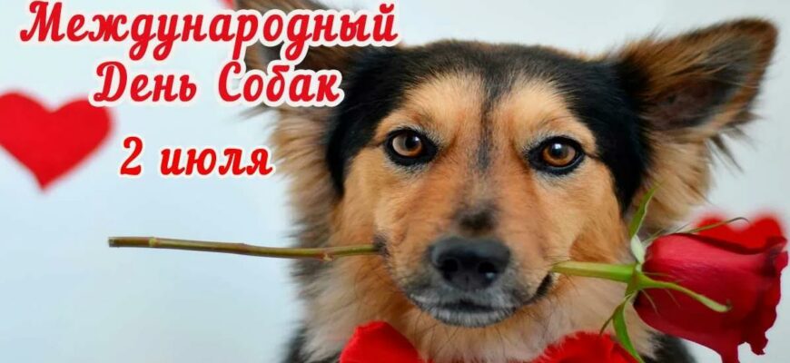 Картинки и гифки с Всемирным днём Собак 2 Июля 2024