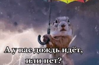 Гифки "А чё? У вас там дождь идёт или не идёт? у нас идёт! сильный!"